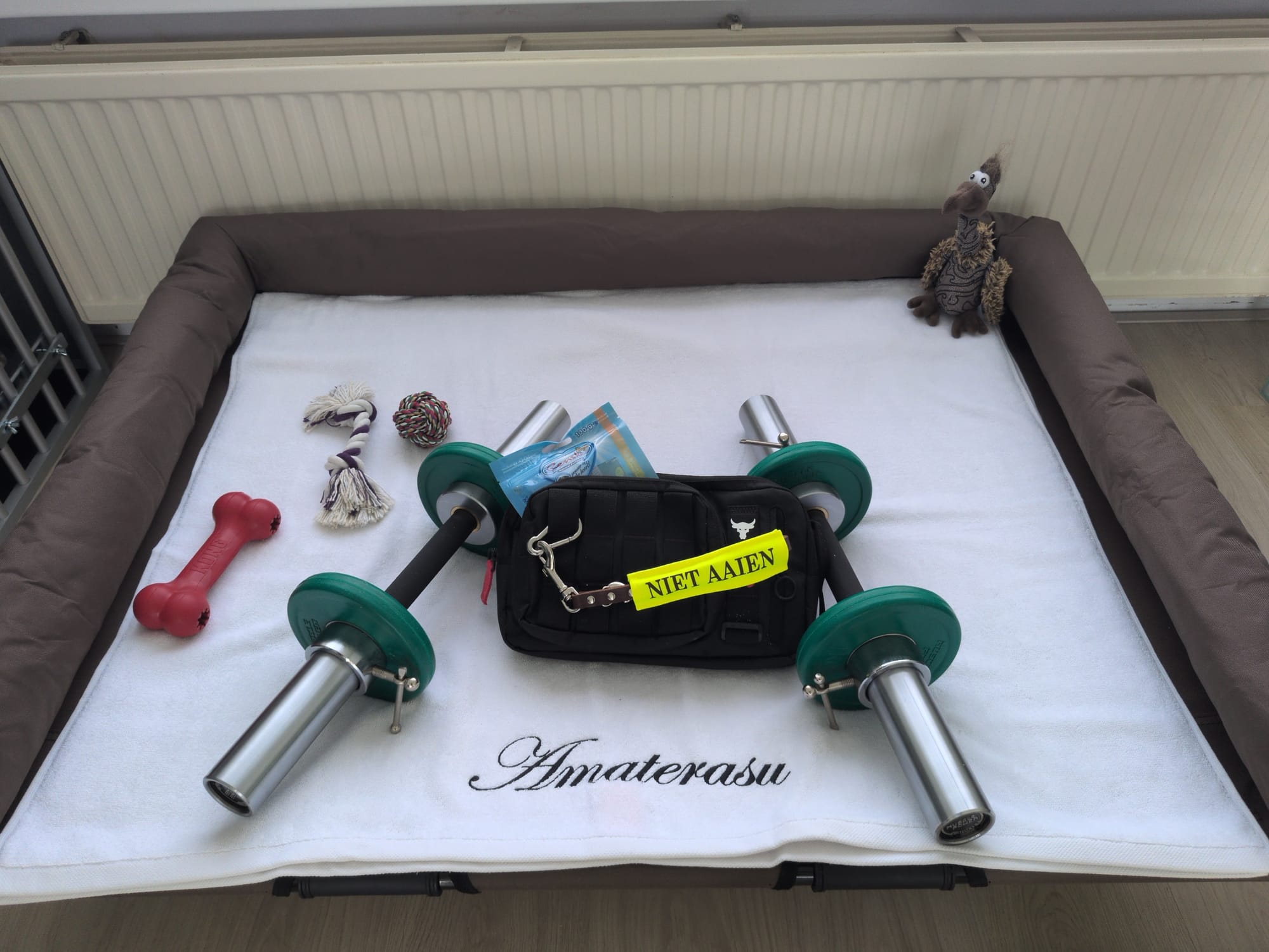 Picture of Tera's placebed with dumbbells and her treat pouch with treats
