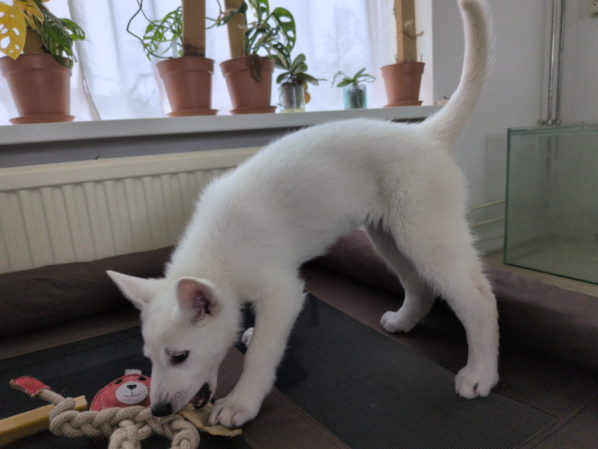 Day 8 - A full week in