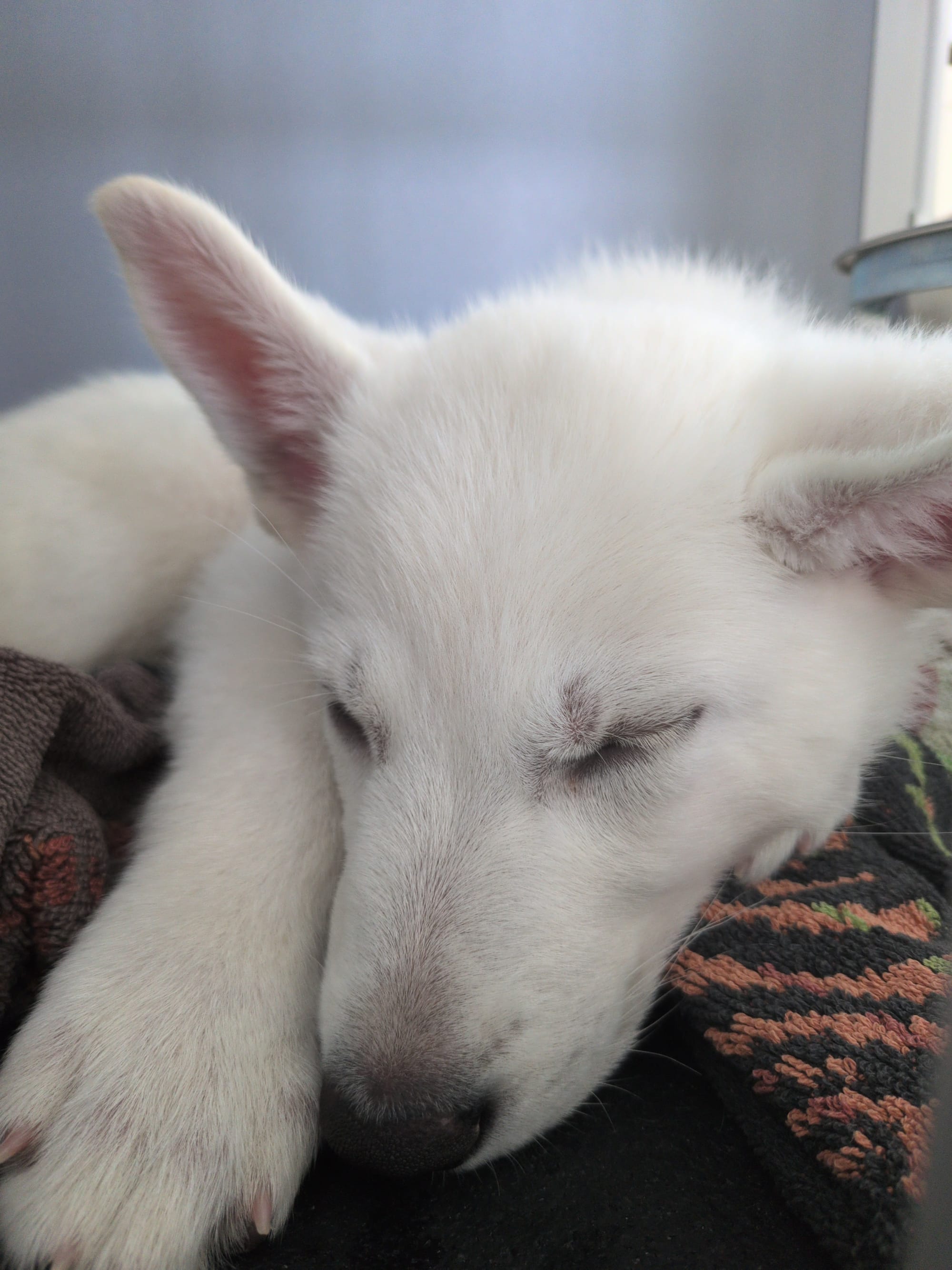 Day 10 - Unclear communication