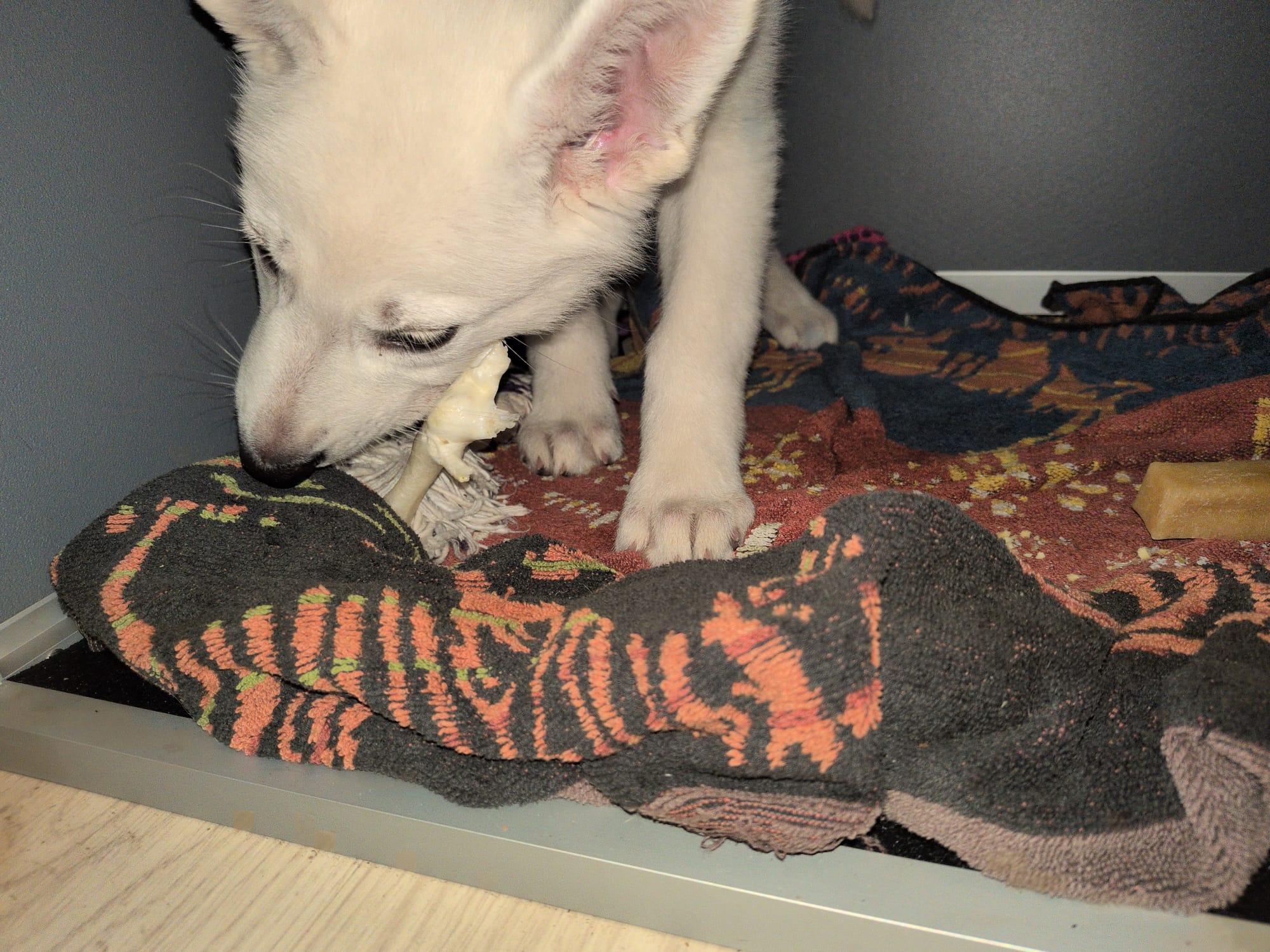 Day 12 - Careless mistake