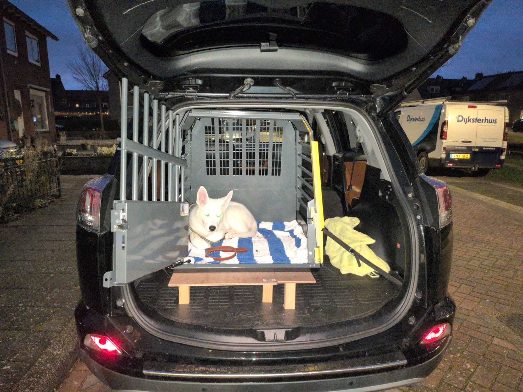 Tera in the crate in the back of my car.