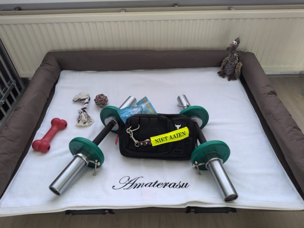 Picture of Tera's placebed with dumbbells and her treat pouch with treats