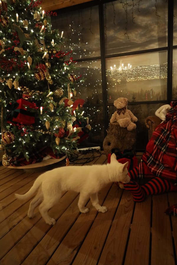Tera sniffing the toes of a Santa doll
