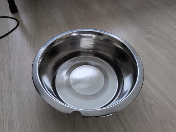 Day 3 - Failing at Maslow's hierachy of needs